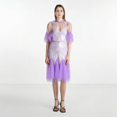 Lace collar loose petal short sleeved mesh dress, women's patchwork puffy skirt, hood skirt