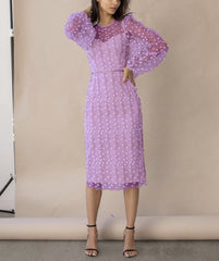 Ladies Style Embroidered Perspective Mesh Dress