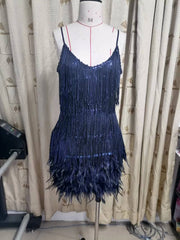 Fringe Sequin Feather Panel Dress