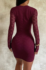 Lace Patchwork Long Sleeve Deep V Neck Fitted Mini Dresses - Burgundy
