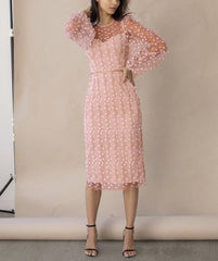 Ladies Style Embroidered Perspective Mesh Dress