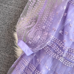 A-Linien-Kleid im Retro-Court-Stil mit Rundhalsausschnitt, Spitzennähten an der Taille und Netzstickerei