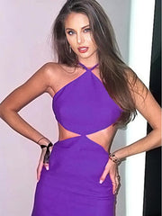 Summer Style Backless Cut Elegant Evening Party Dress