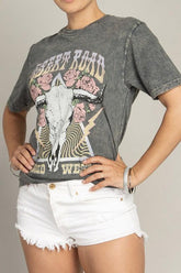 Top gráfico del salvaje oeste de Desert Road