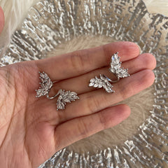 Schmetterling Ohrkletterer