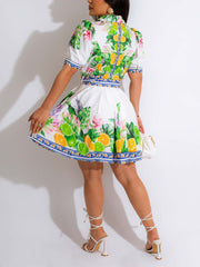 V-Neck Printed Pleated Dress