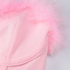 Breathtaking Faux Feather Seam Detail Strapless Crop Corset Top - Pink