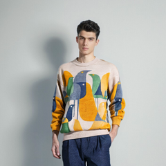 Bunter Vogelpullover