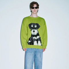 Schöner Hundepullover