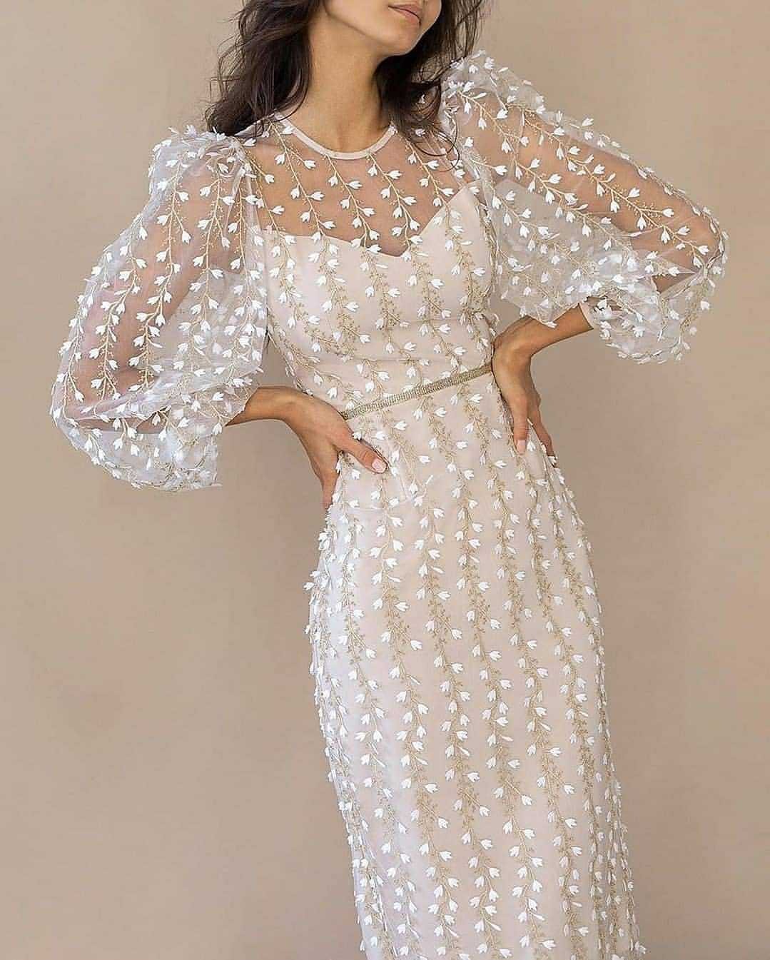 Ladies Style Embroidered Perspective Mesh Dress