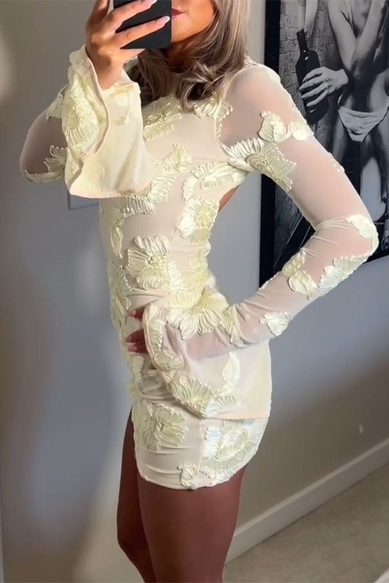 Long Flare Sleeve Mesh Layered Foil Floral Mini Dresses - Blue