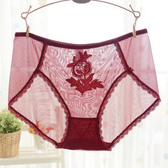 Transparent Hollow Out Net Lace Underpants