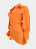 Lantern Sleeve Wrapped Shirt Mini Dress