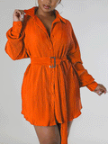 Ruched Long Sleeve Mini Dress With Belt