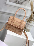 Flap Solid Textured Bag