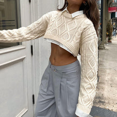 Crew Neck Long Sleeve Cable Knit Crop Sweater - Beige